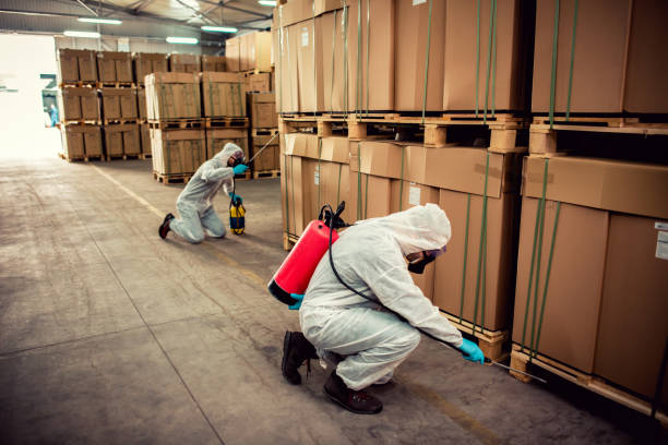 Best Wasp Removal Services  in Thomasville, AL