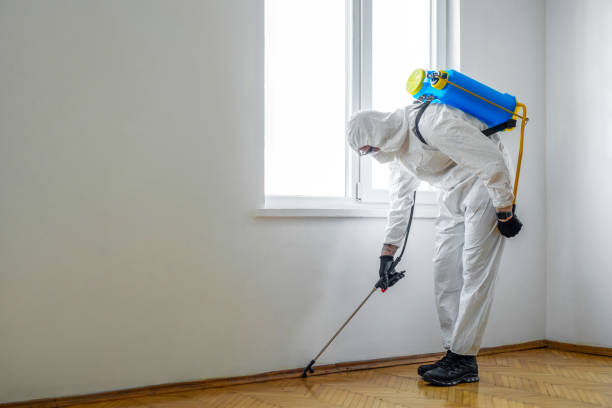 Best Insect Control  in Thomasville, AL