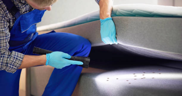 Best Flea Control Services  in Thomasville, AL