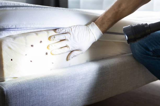 Best Pest Control for Restaurants  in Thomasville, AL