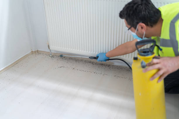 Best Local Pest Control Services  in Thomasville, AL